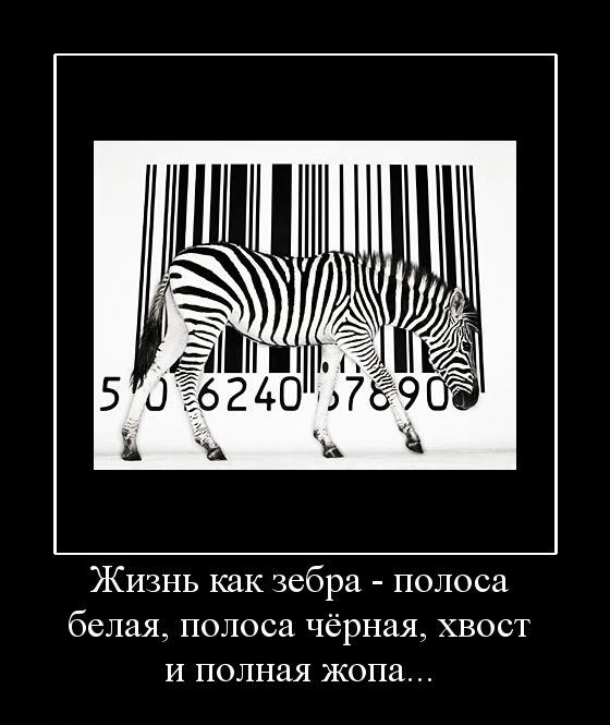 Демотиватор в виде зебры, штрих-кода и подписи: "Жизнь как зебра - полоса белая, полоса черная, хвост и полная жопа"